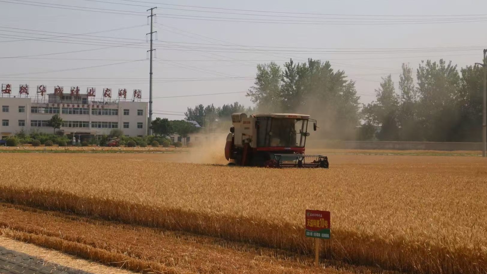 跨越从一粒良种到万顷丰仓 解锁大国粮仓“科技密码”